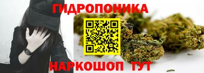 стаф Ливны